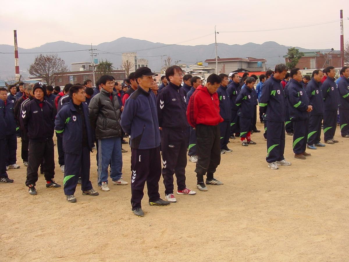 체육