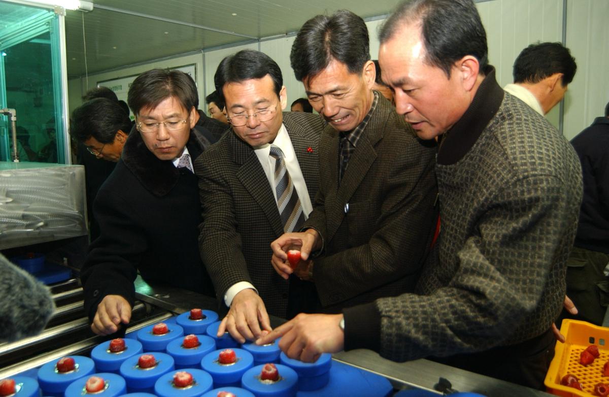 합천냉동딸기전처리시설시연회