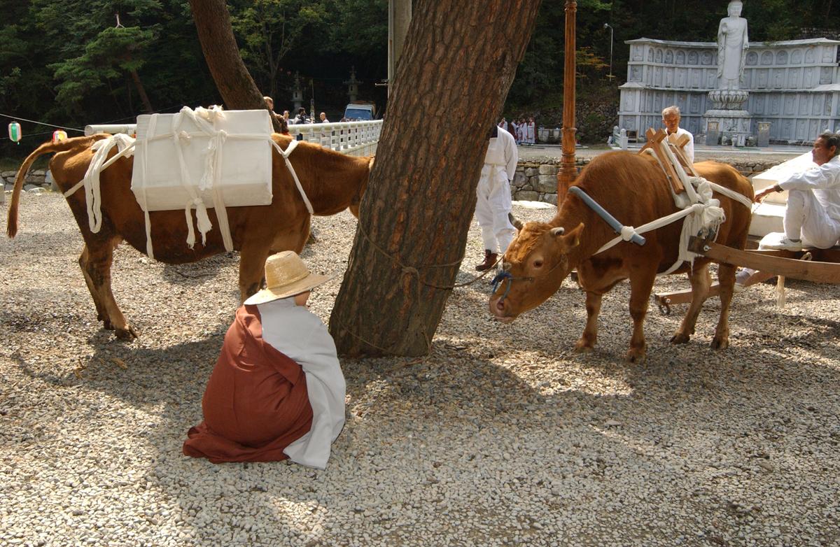 팔만대장경이윤 해인사