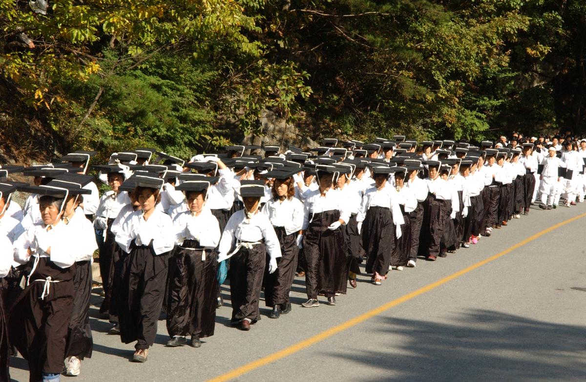 팔만대장경이윤 해인사