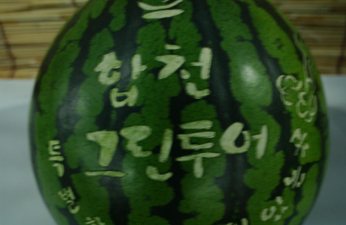 향천향토엑스포