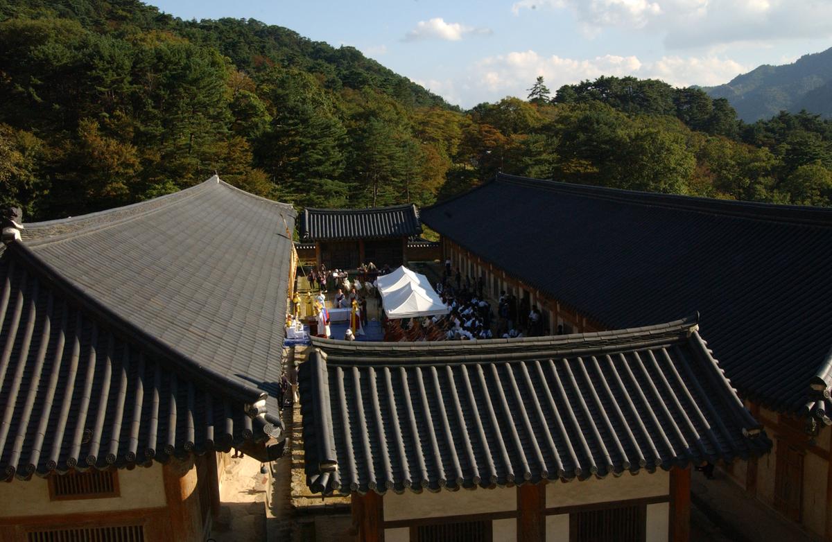 팔만대장경이윤 해인사