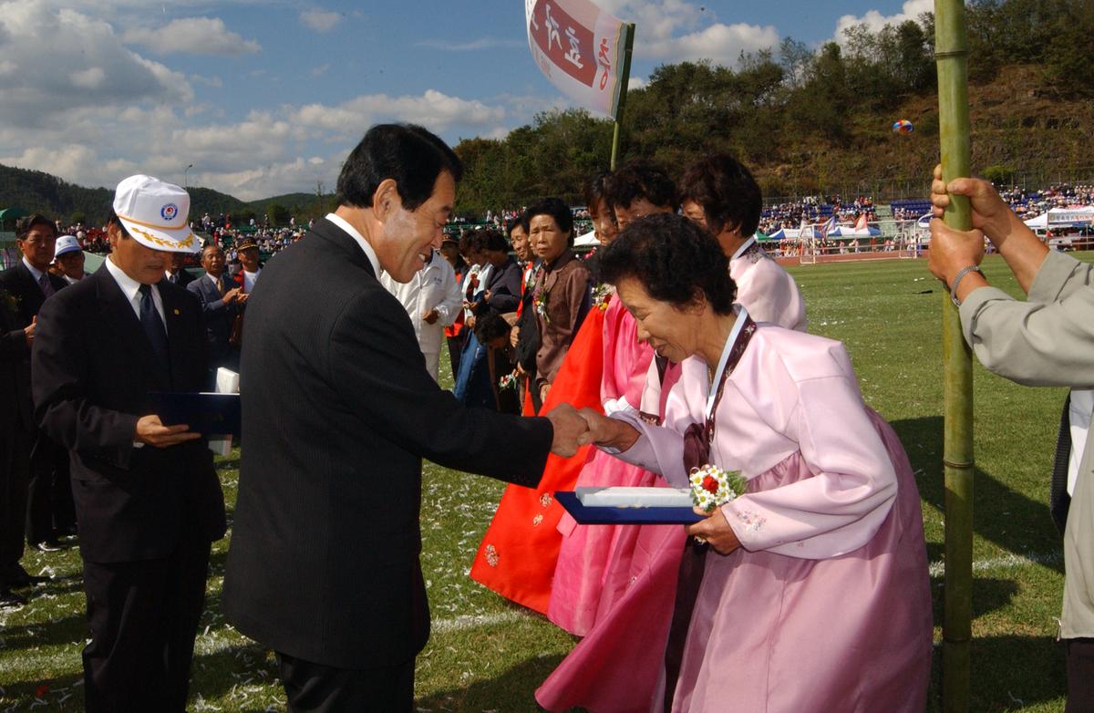 대야문화제