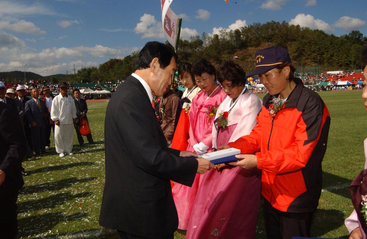 대야문화제