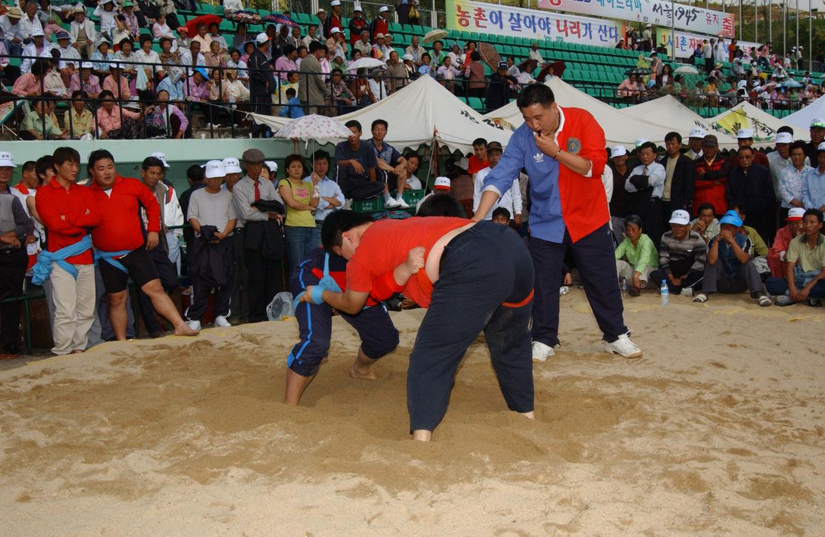 대야문화제