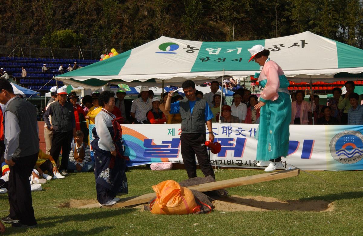 대야문화제