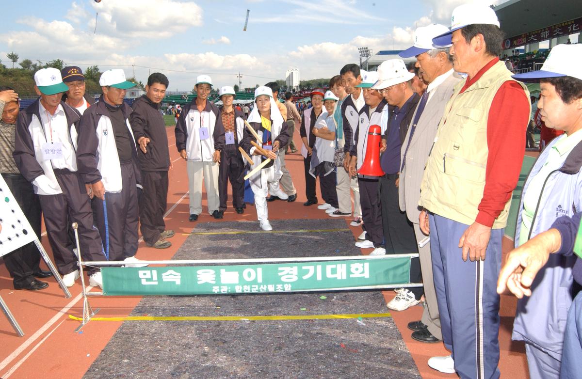 대야문화제