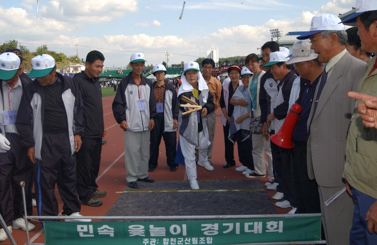 대야문화제