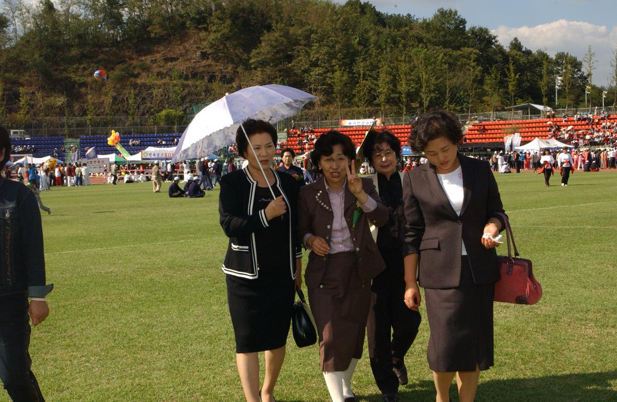 대야문화제