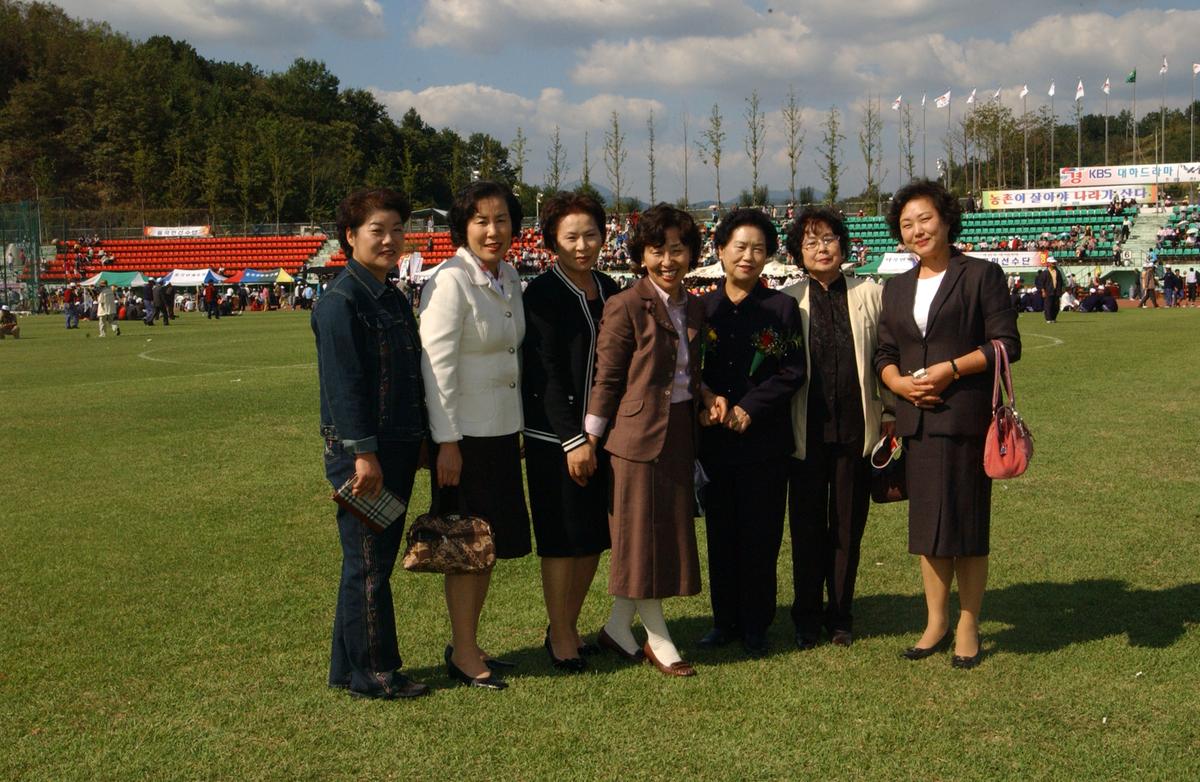 대야문화제