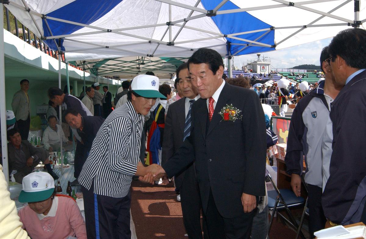 대야문화제