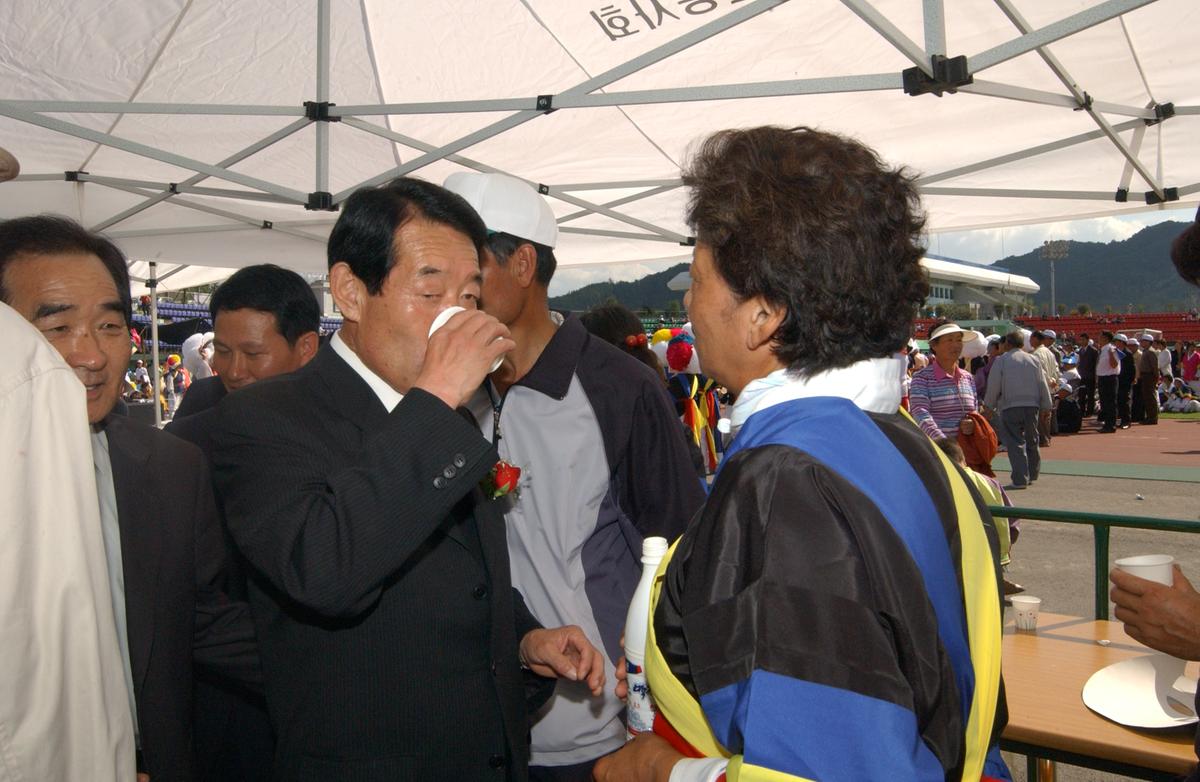 대야문화제