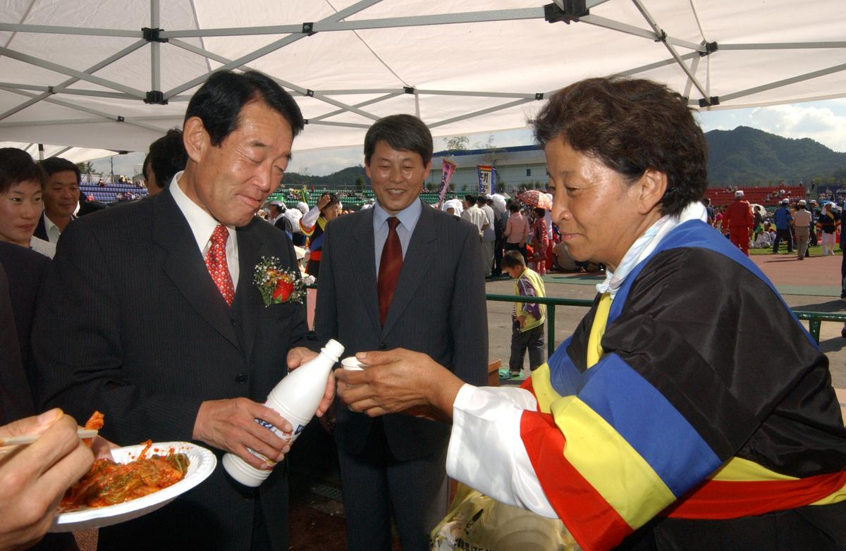 대야문화제