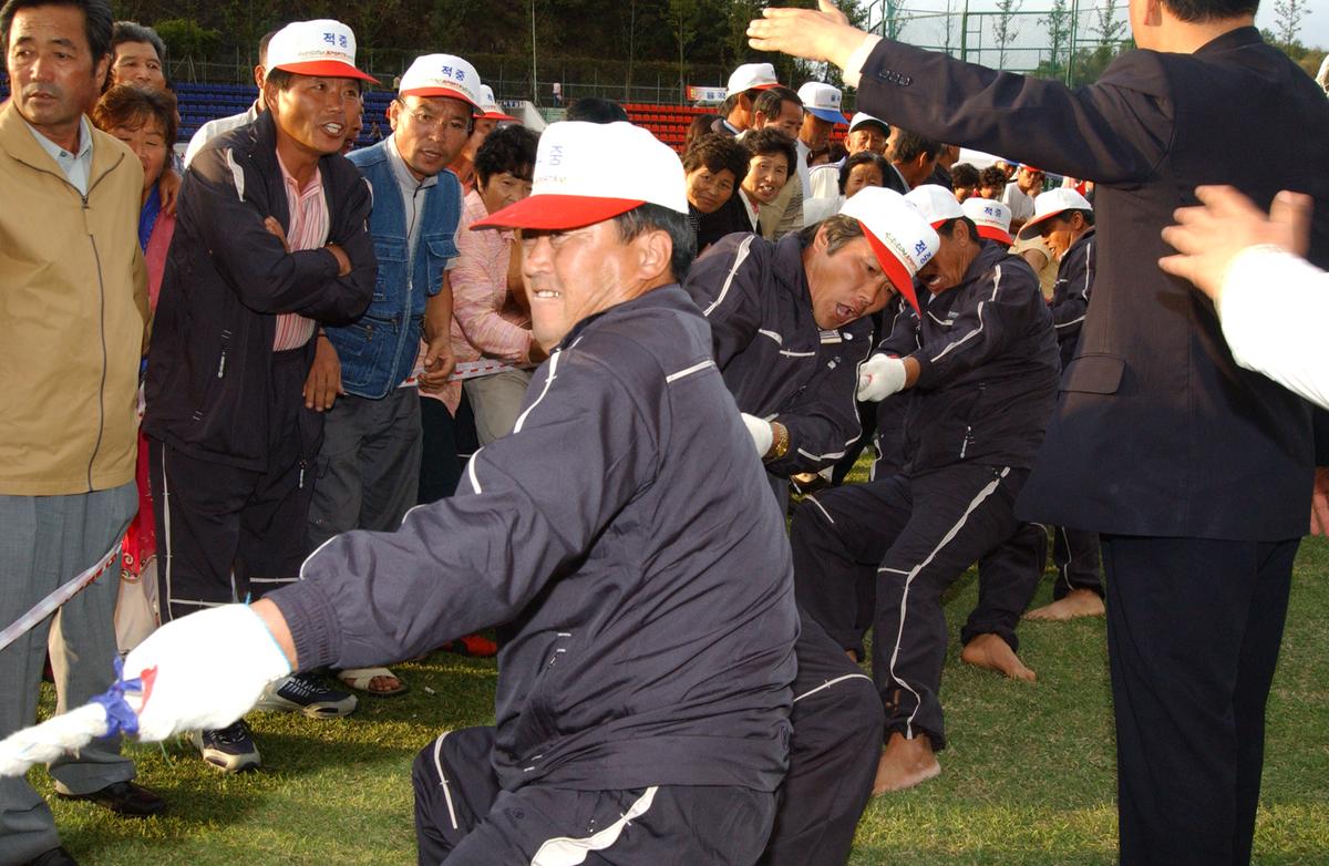 대야문화제