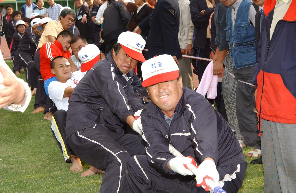 대야문화제