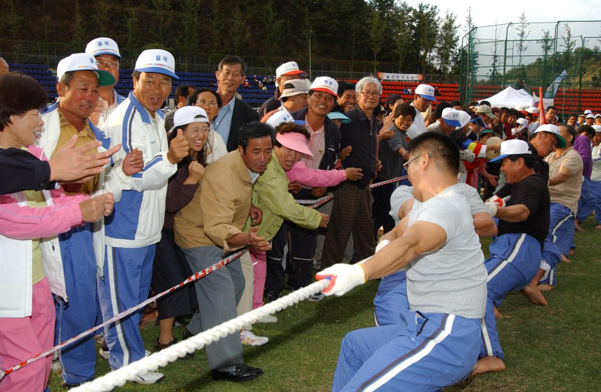 대야문화제