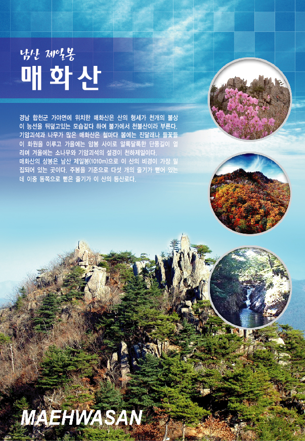 합천(웰빙)