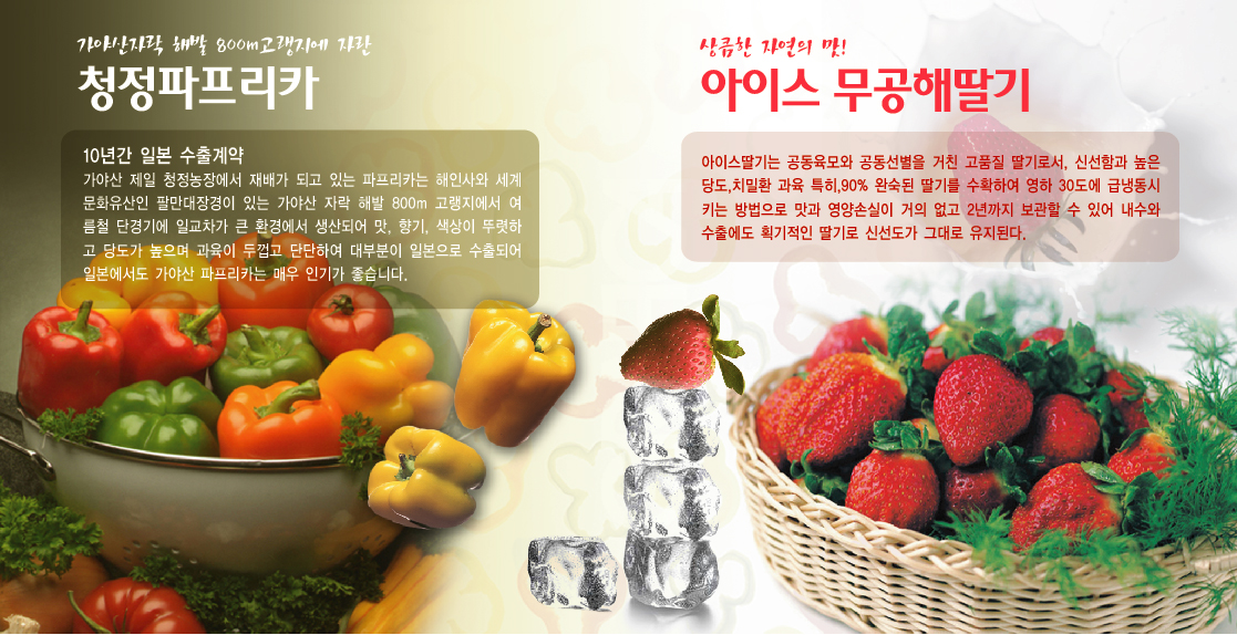 합천(웰빙)