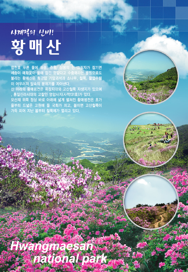 합천(웰빙)
