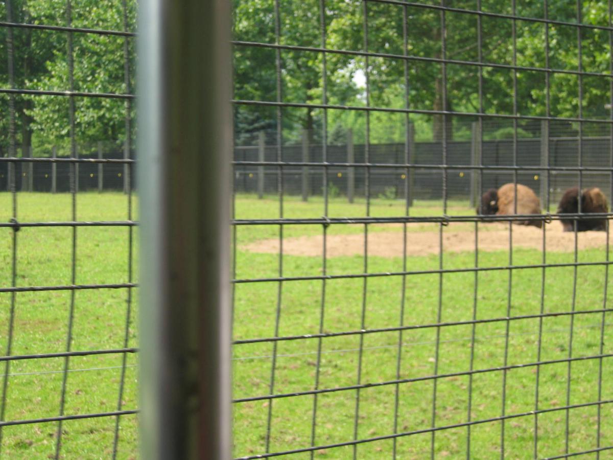 단체장,연수사진,한국지방자치단체국제화재단(5-1)15