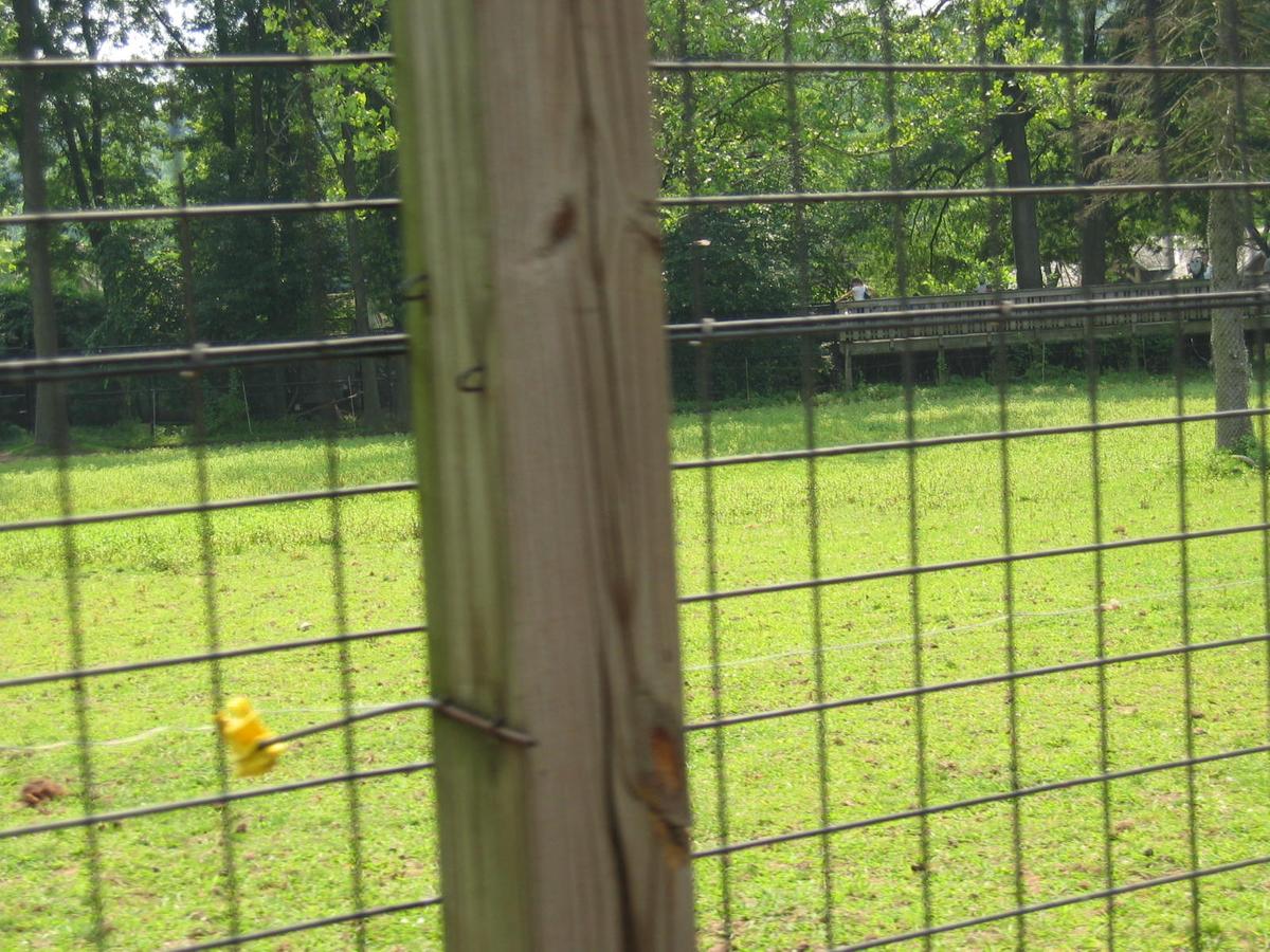 단체장,연수사진,한국지방자치단체국제화재단(5-1)16