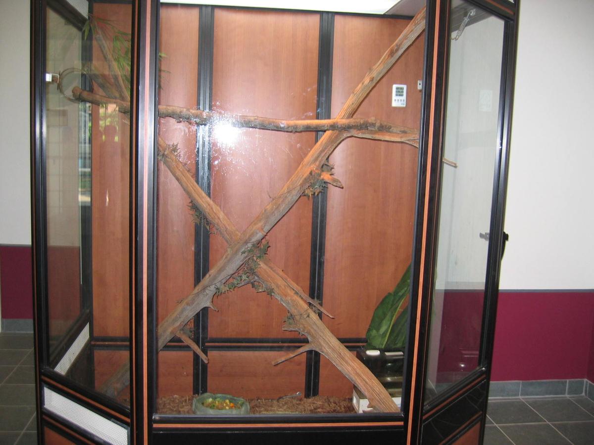 단체장,연수사진,한국지방자치단체국제화재단(5-1)24