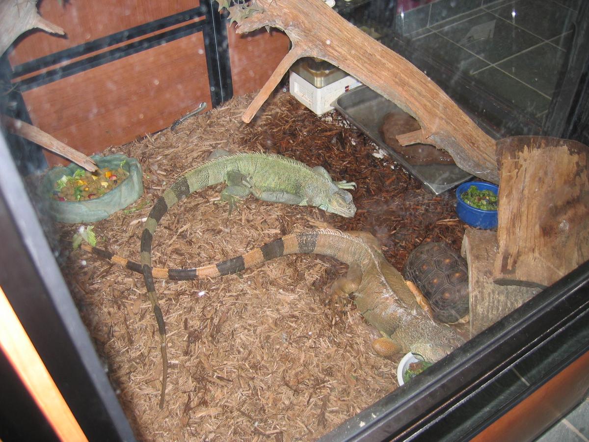 단체장,연수사진,한국지방자치단체국제화재단(5-1)29