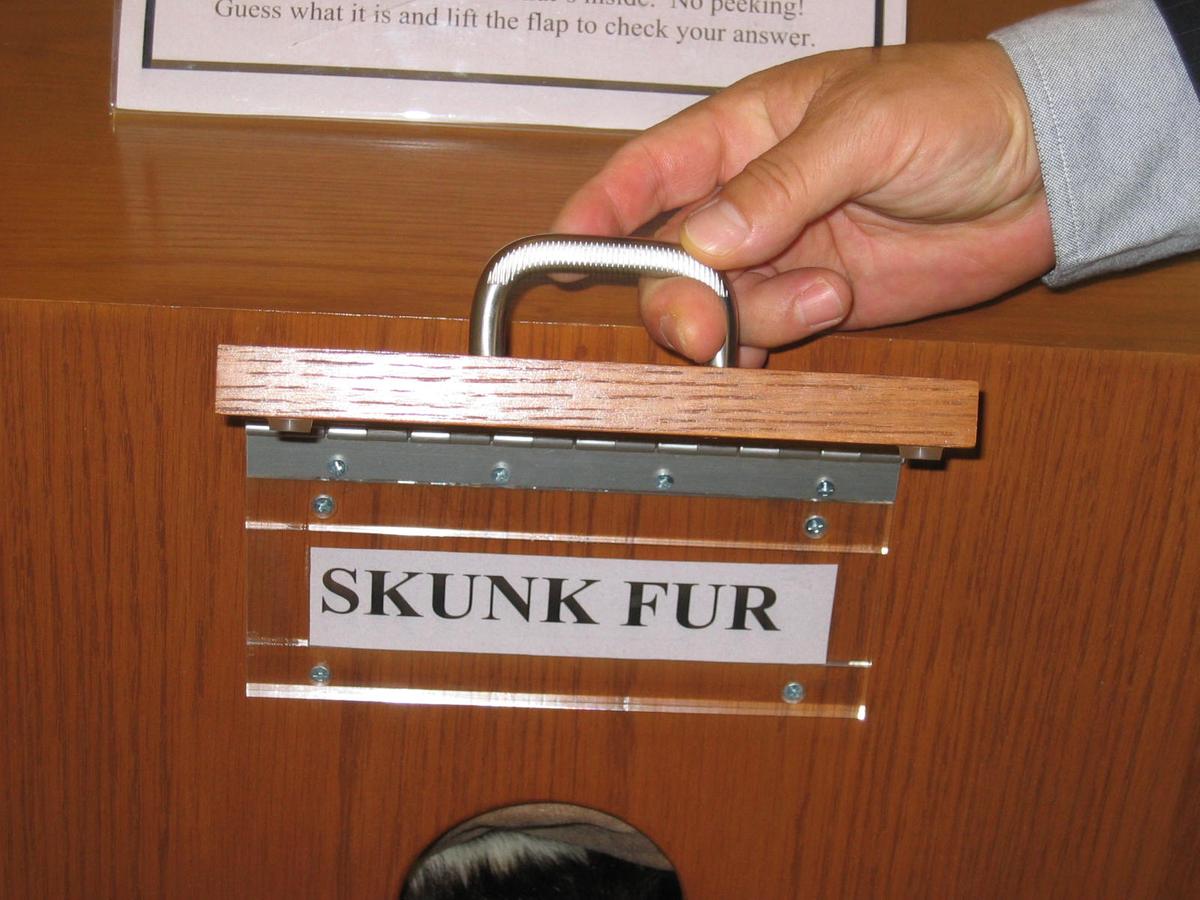 단체장,연수사진,한국지방자치단체국제화재단(5-2)3