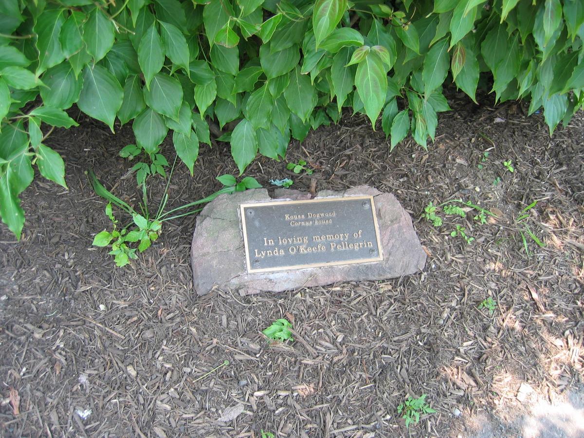 단체장,연수사진,한국지방자치단체국제화재단(5-2)6