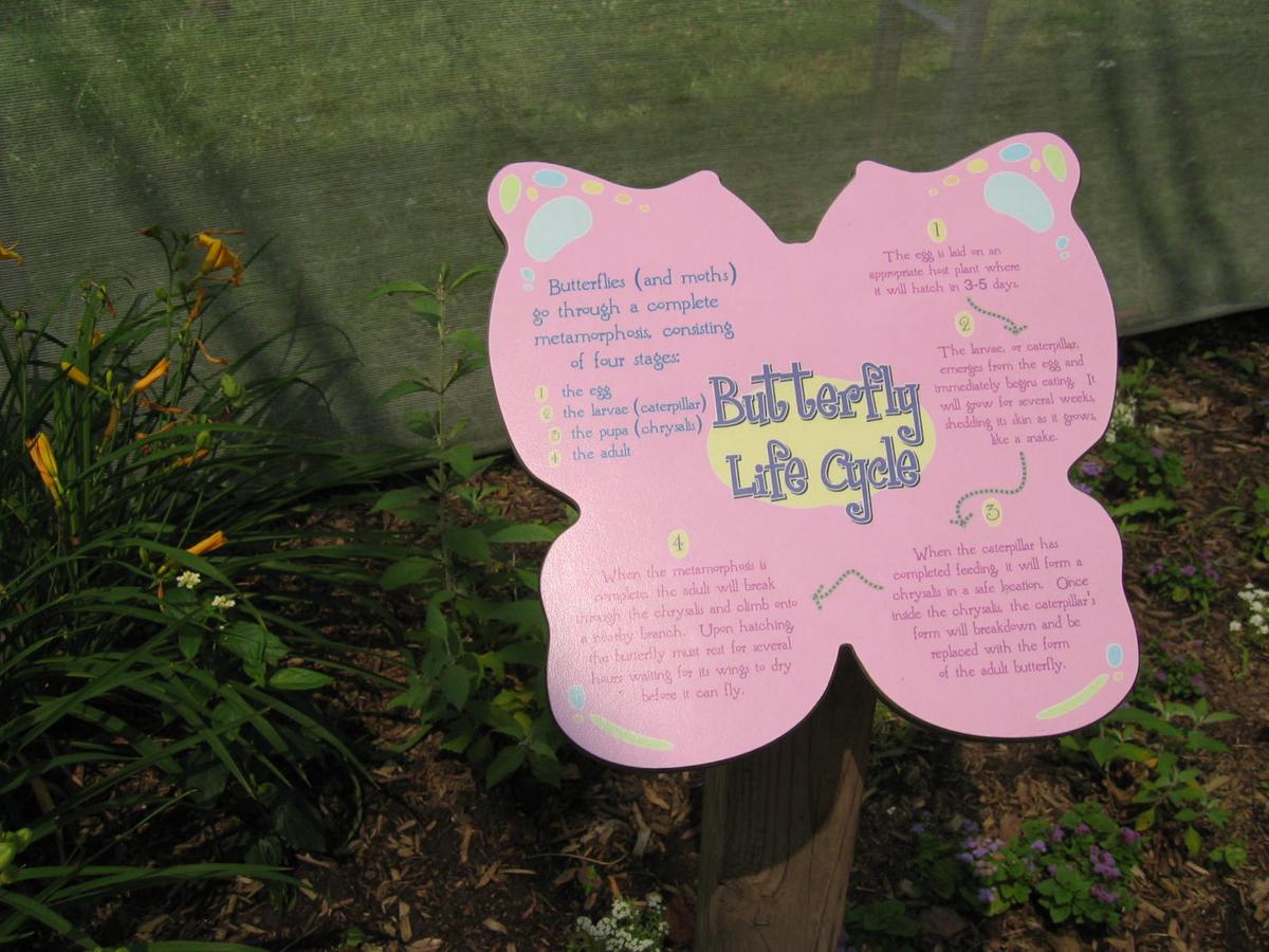 단체장,연수사진,한국지방자치단체국제화재단(5-2)8