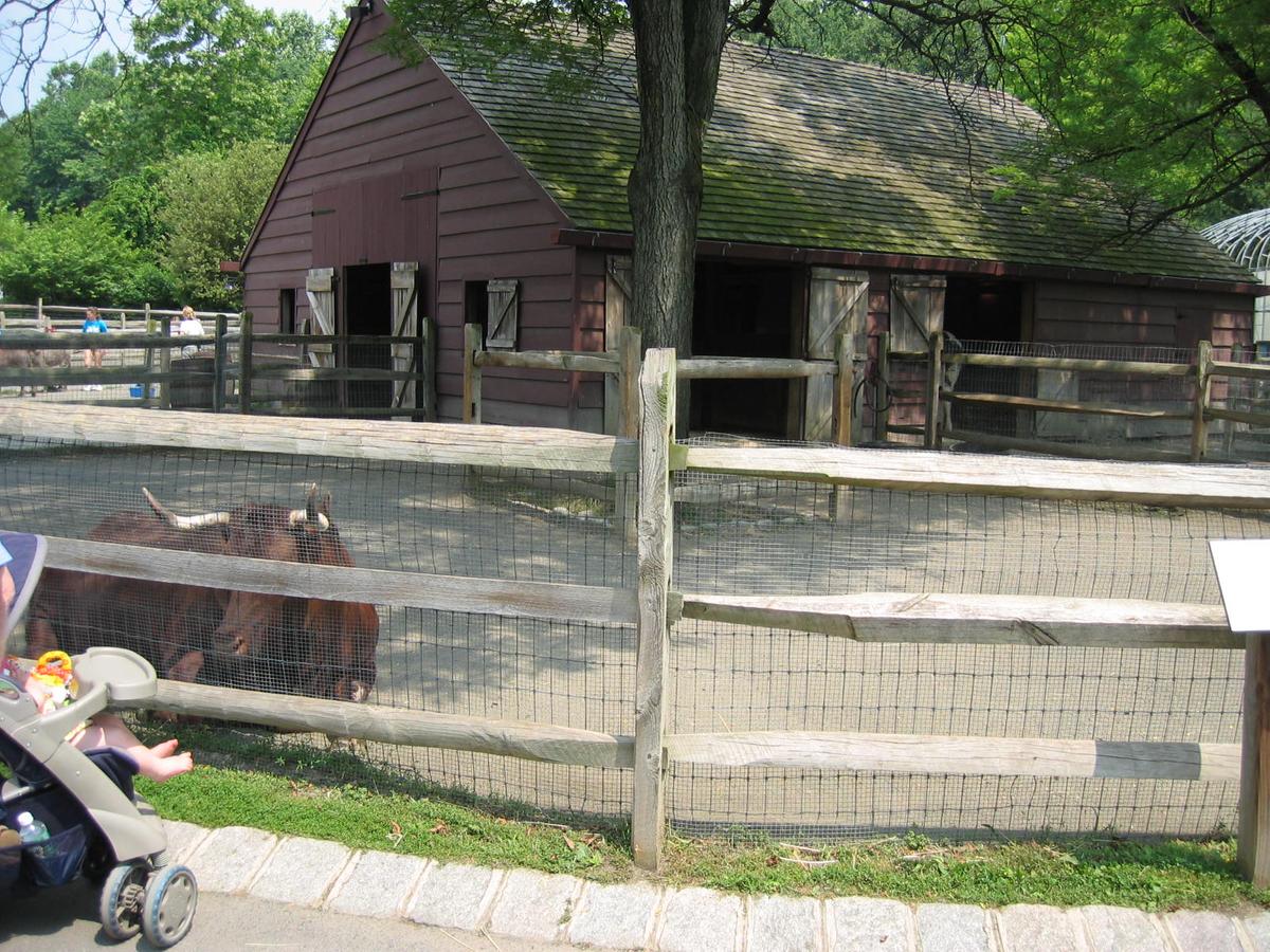 단체장,연수사진,한국지방자치단체국제화재단(5-2)13