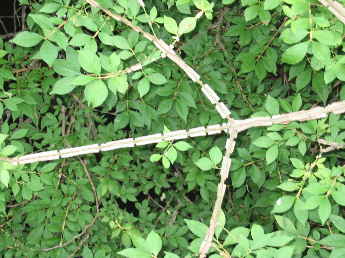 단체장,연수사진,한국지방자치단체국제화재단(5-2)16