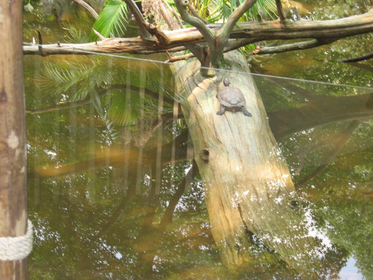 단체장,연수사진,한국지방자치단체국제화재단(5-2)21