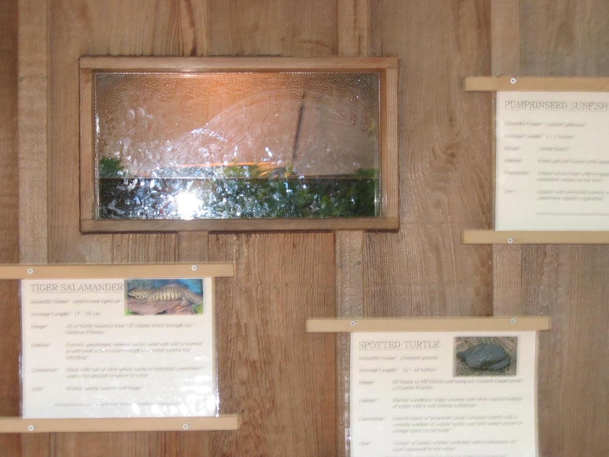 단체장,연수사진,한국지방자치단체국제화재단(5-2)22