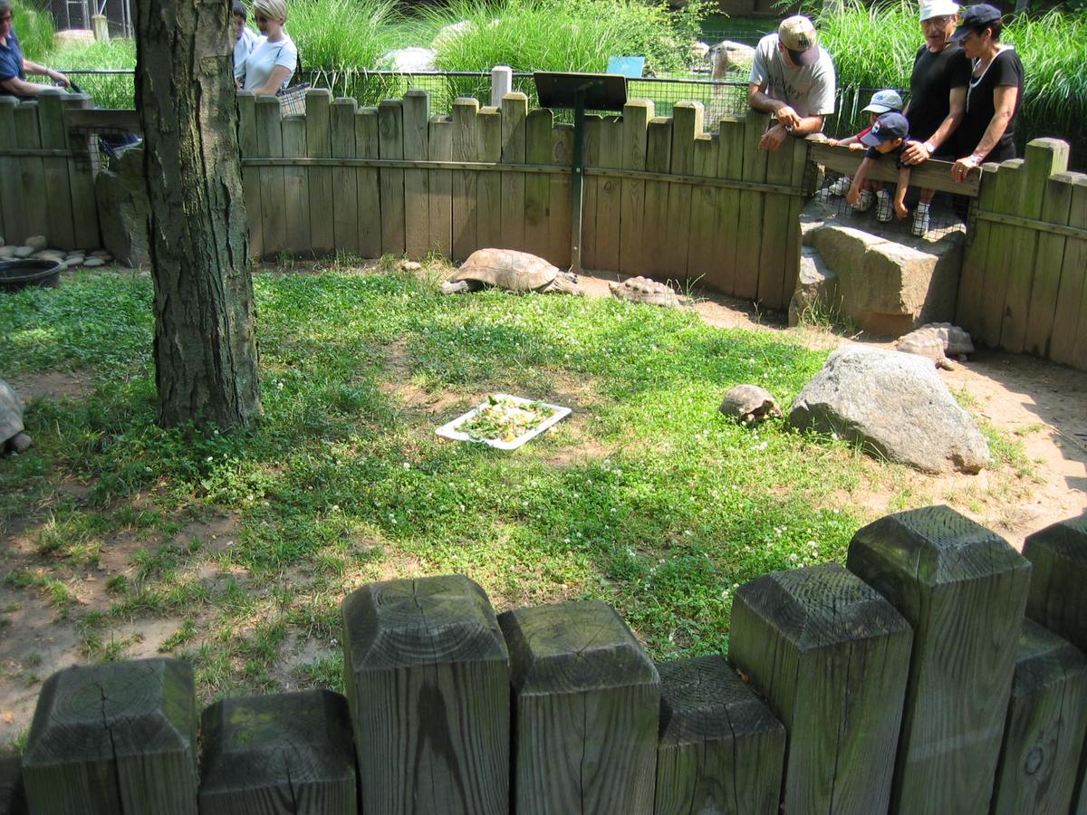 단체장,연수사진,한국지방자치단체국제화재단(5-2)27