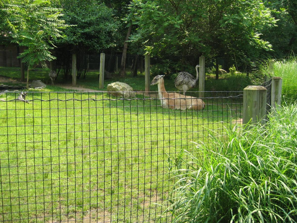 단체장,연수사진,한국지방자치단체국제화재단(5-2)28