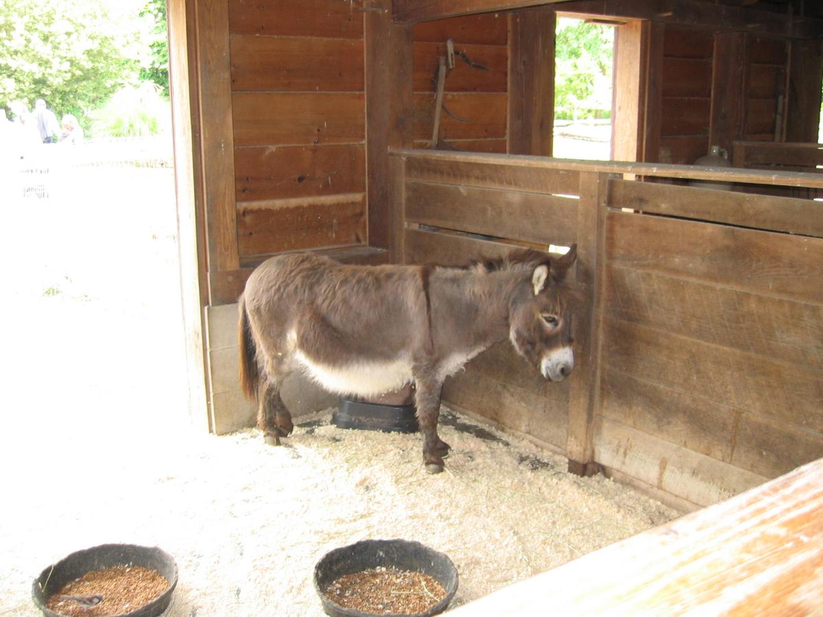 단체장,연수사진,한국지방자치단체국제화재단(5-3)4