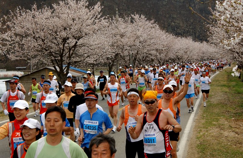 벛꽃마라톤대회