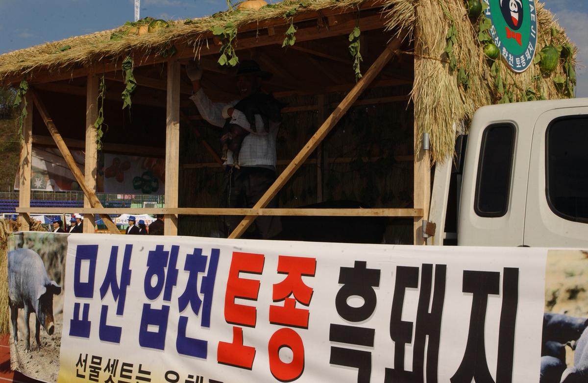 대야문화제(1)8