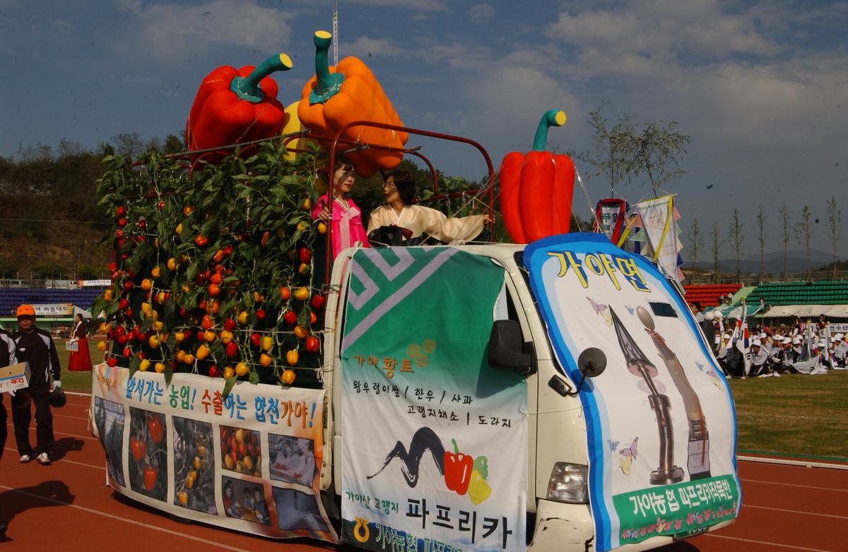 대야문화제(1)13