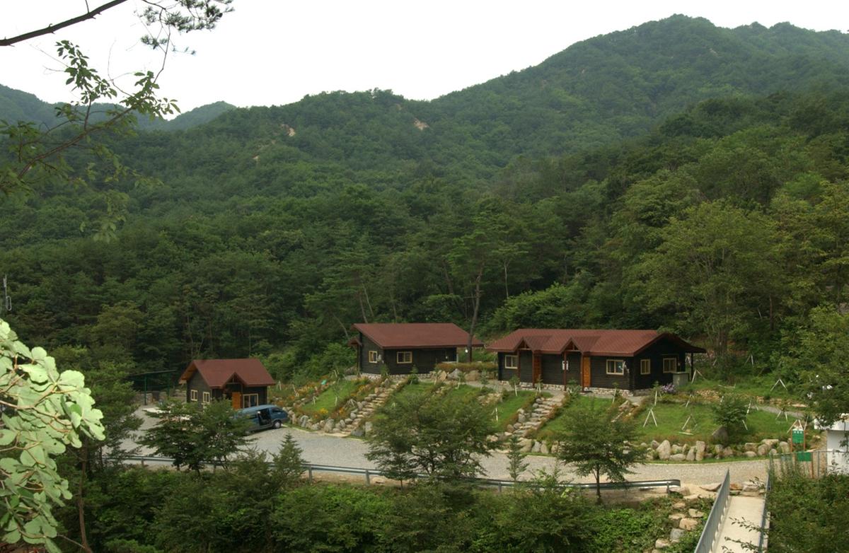 오도산휴량림전경