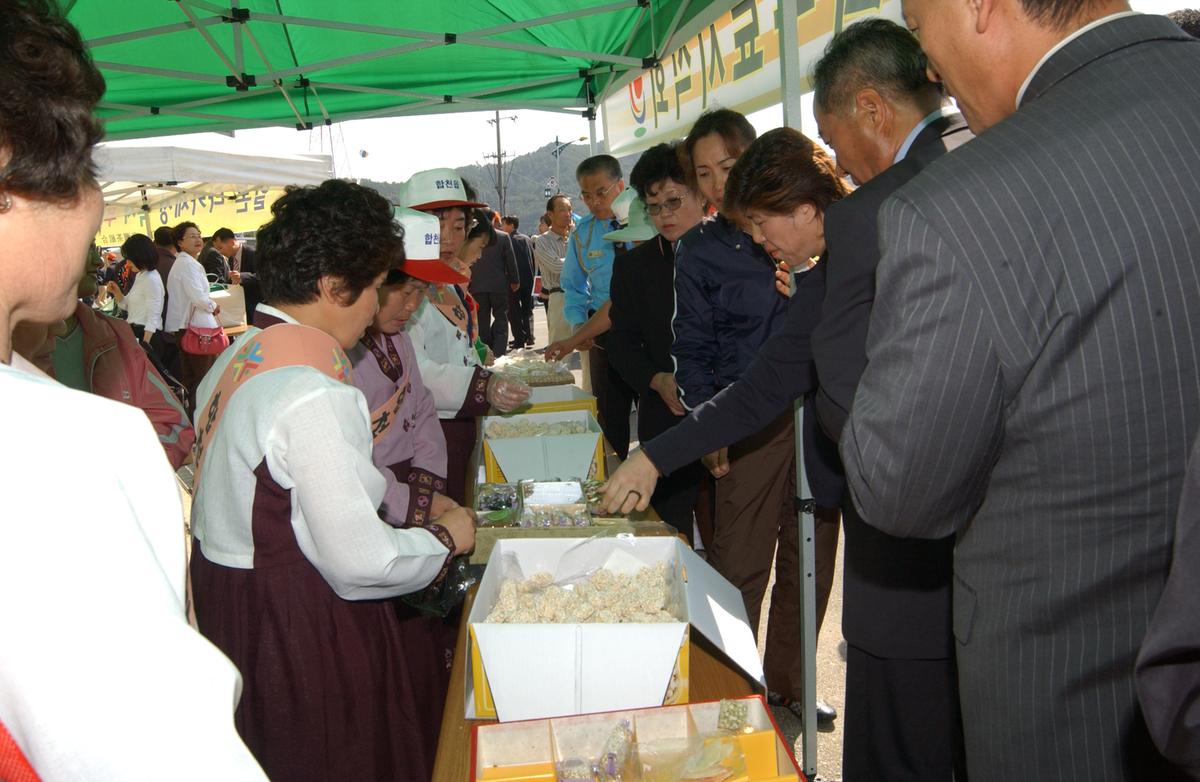 대야문화제(6)15