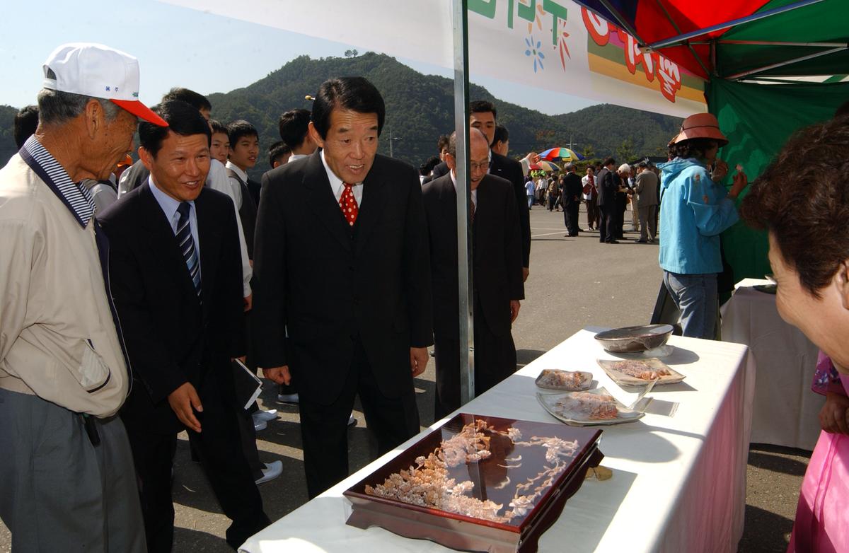 대야문화제(6)17