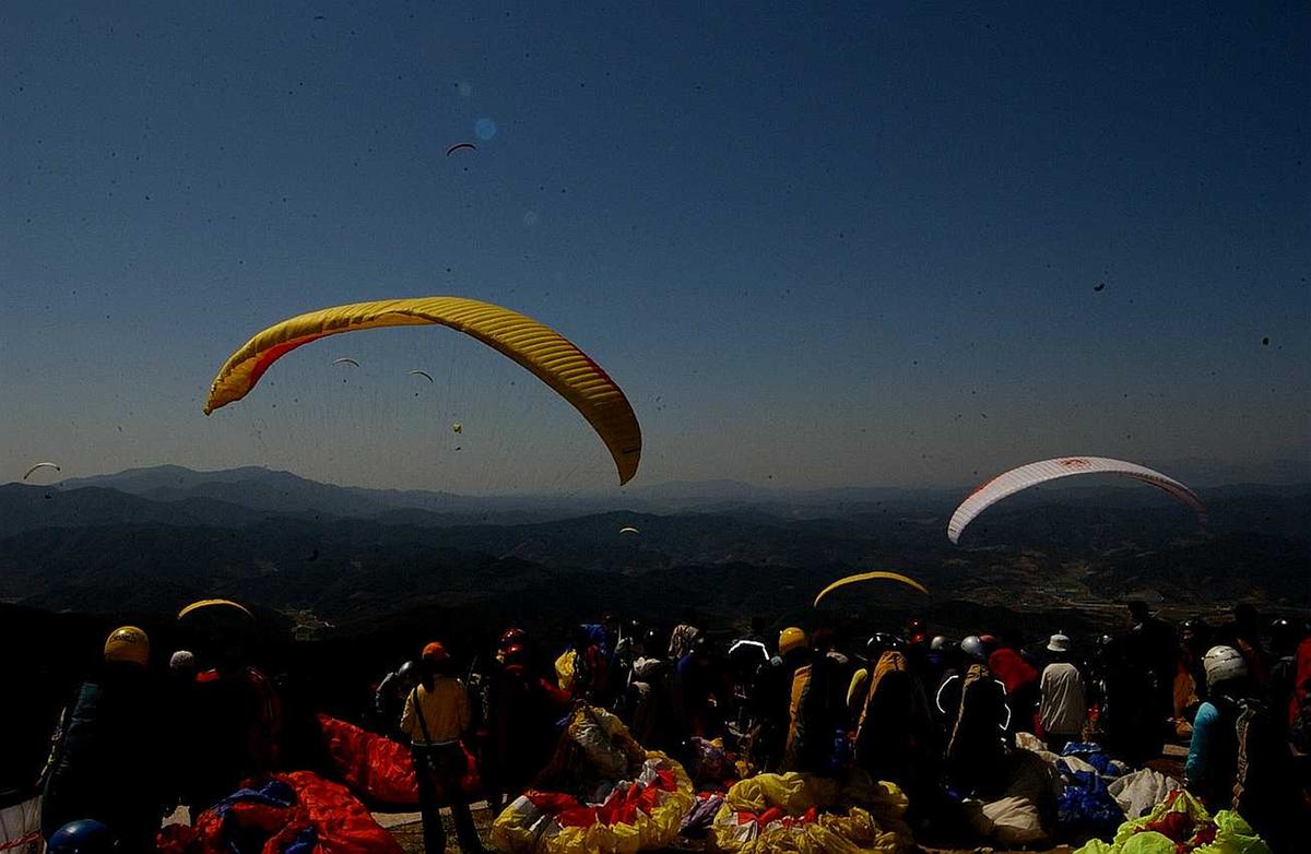 페러코리아리그전
