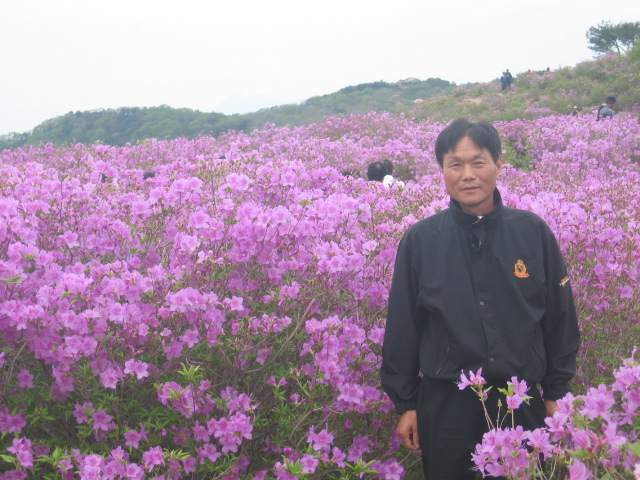 2006철쭉제