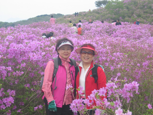 2006철쭉제