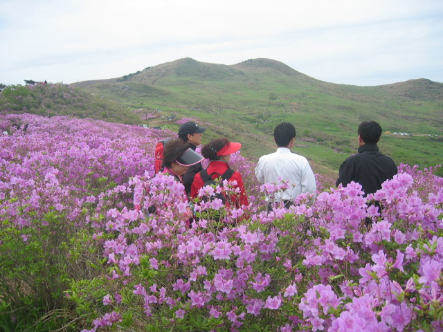 2006철쭉제