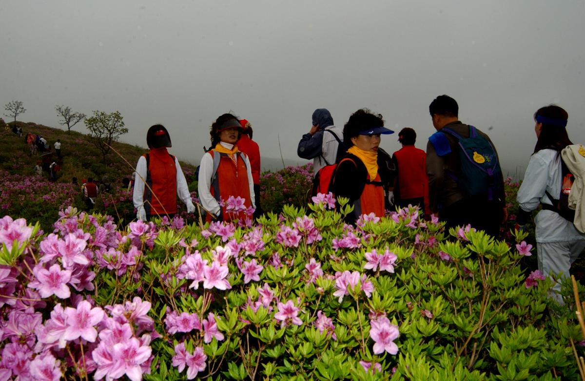 2005년도 달력자료16