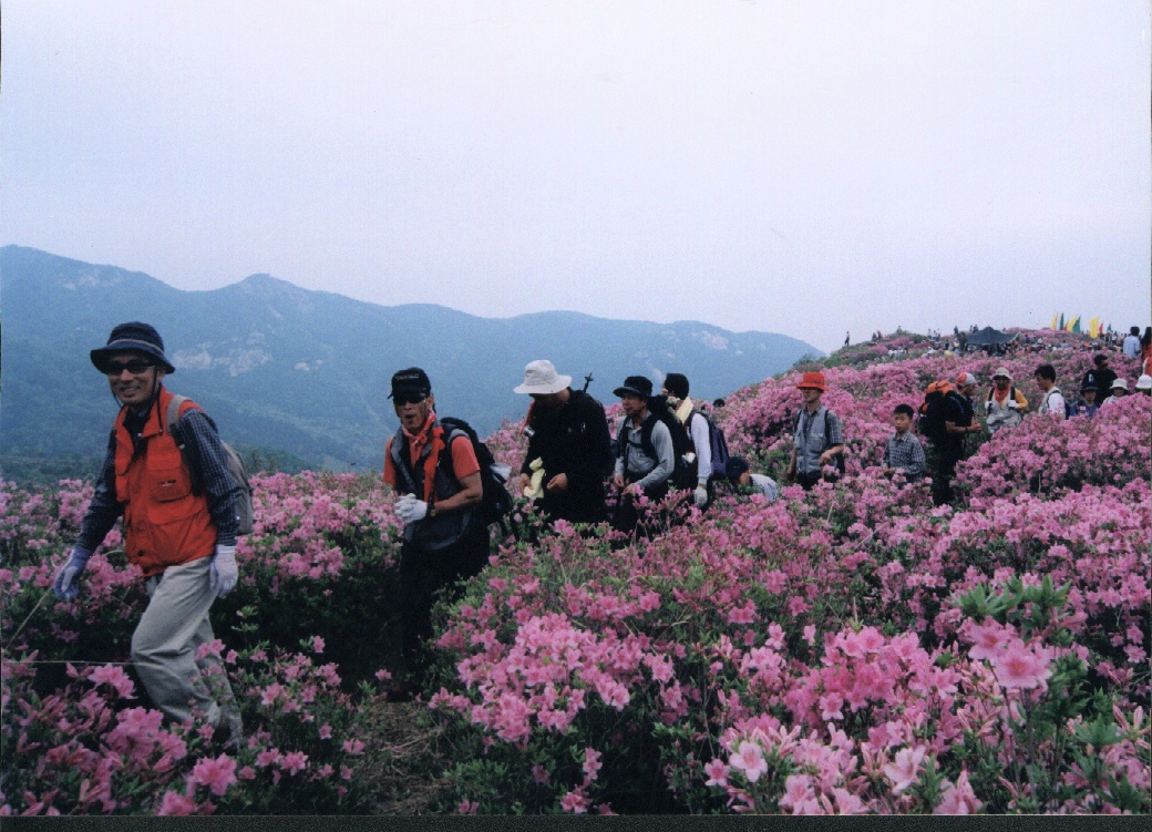 2005년도 달력자료26