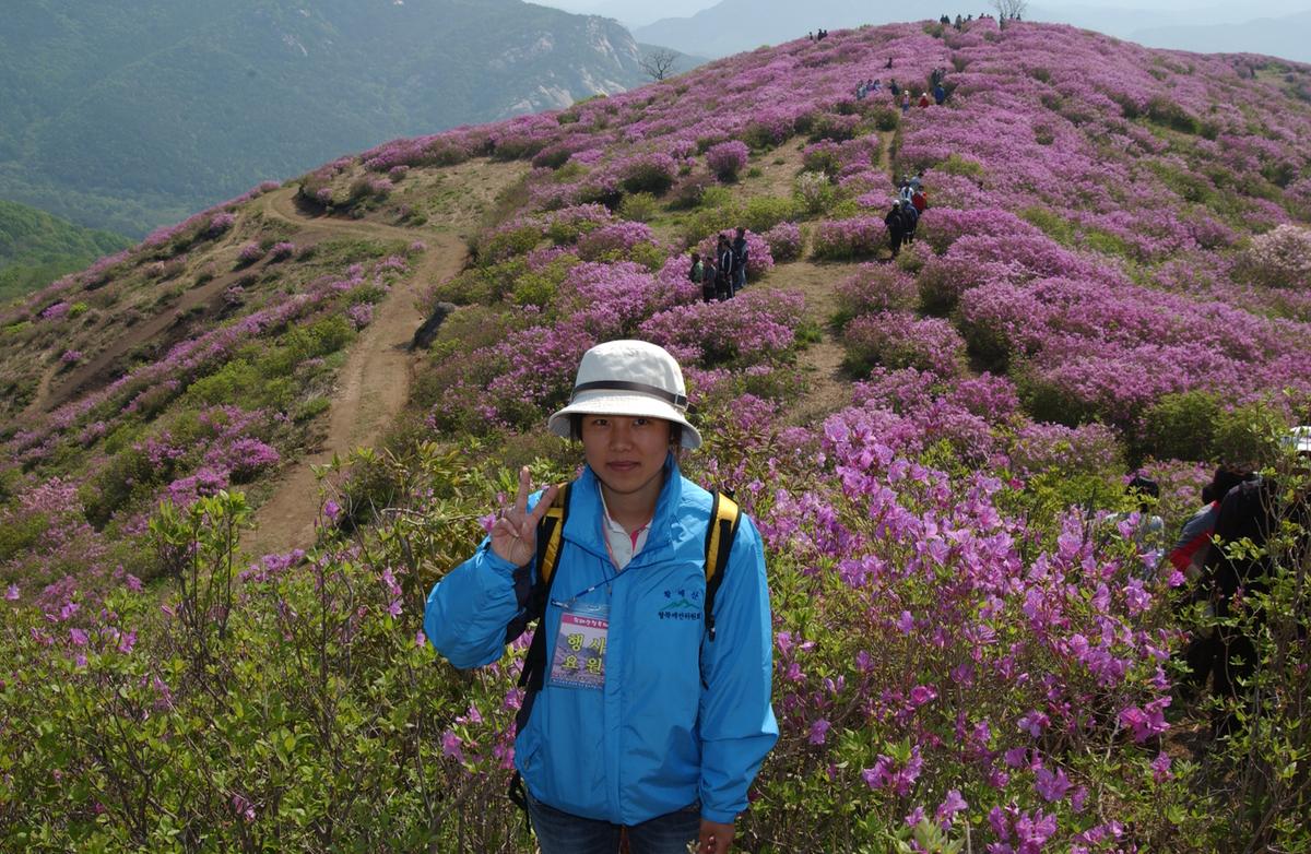 황매산철죽축제